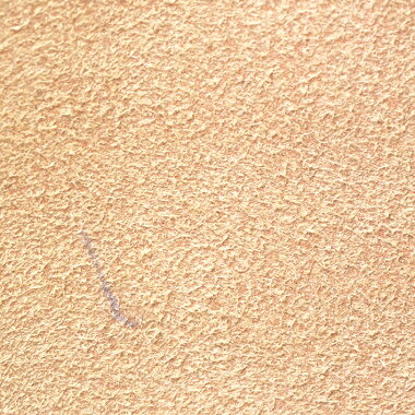 [Ketibaan Baru] [Pra-Milik] [Keadaan Baik] Bag GG Corak Burung Beg Bahu GG Supreme 412096486628 [Tote Bag]