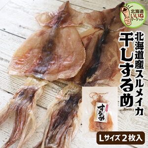  X 励X LTCY L/2×1  ܂   ߂ XCJ VN 󂠂  ƈ ܂ ̍  Mtg  r[ ̂܂