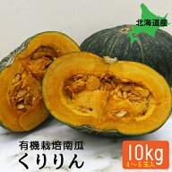 有機JAS認定 くりりんかぼちゃ 10kg 4～6玉 北海道産 みよい農園 送料無料 有機栽培 南瓜 カボチャ 産地…