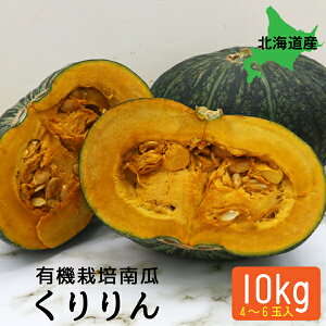 L@ڂ 񂩂ڂ 10kg 4`6ʓ  kCY Z L@͔| JASF ݂悢_ kC L@ Yn  Mtg I[KjbN J{` 蕨 