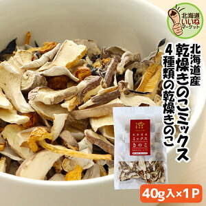 ̂ 4̊̂~bNX 40g  ̂ kCY Y LmR kC kC  Mtg kCY   o` ̂ 炰 LNQ ܂  