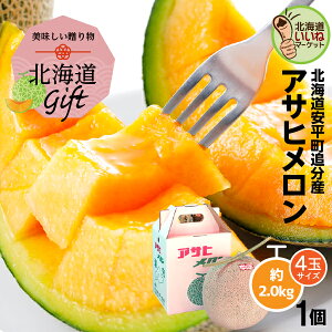   Mtg ԓ kC ATq 2kg  Â kCǕY p ăMtg 蕨 x14xȏ ʕX̃vIXX  ԓ  ₩
