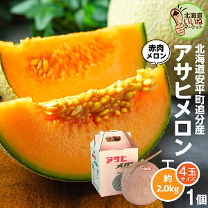 yyVX[p[SALE |Cg5{zԓ kC ATq 2kg  Â kCǕY p ăMtg 蕨 x14xȏ ʕX̃vIXX  ԓ 