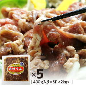 t WMXJ t 2kg 400g×5pbN  kC ē BBQ o[xL[ I[XgAY kCO S̐HނƂŒJɏ ̎|o`̃^ yym_r