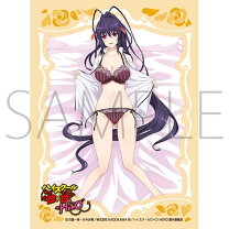 楽天市場】ハイスクールd×d 姫島朱乃（コレクション｜ホビー）の通販