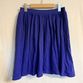 Ray BEAMS レイビームス ひざ丈スカート スカート Skirt Medium Skirt【USED】【古着】【中古】10031017
