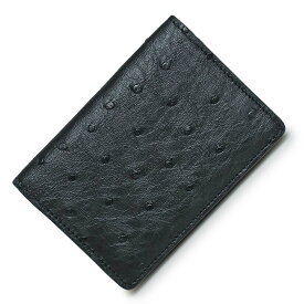 【新品・未使用品】ルイ ヴィトン LOUIS VUITTON オーガナイザー ドゥ ポッシュ カードケース 名刺入れ 定期入れ パスケース オーストリッチ エキゾチックレザー ブラック 黒 N93853 箱付