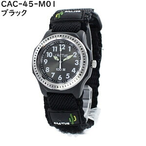 bsO MtgZbg JN^X Ki q rv ₷  LbY  j̎q ̎q h ǂ a  w w pI v  }WbNe[v iCx