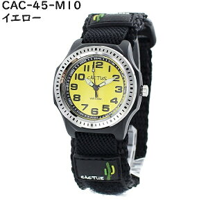 bsO MtgZbg JN^X Ki q rv ₷  LbY  j̎q ̎q h ǂ a  w w pI v  }WbNe[v iCx