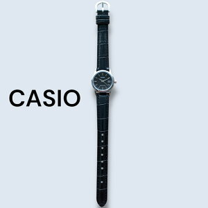 JVI CASIO rv fB[X [P[Xt `[vJVI `vJV Vv y U[ vxg ubN t v[g Mtg v p a LO { COf 