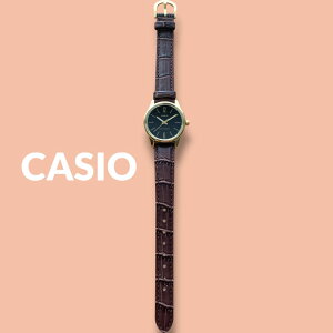 JVI CASIO rv fB[X [P[Xt `vJV Vv  y vxg uE ubN Mtg v a LO { COf NX}X v[g L