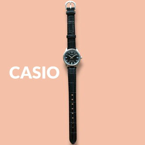 JVI CASIO rv fB[X [P[Xt `vJV Vv  y vxg ubN v[g Mtg v a LO { COf LO j
