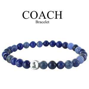 R[` uXbg fB[X Vo[925 u[ r[Y COACH uh ANZT[ i  ޏ  Mtg a LO NX}X v[g LO j