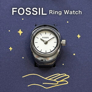 tHbV OEHb` wv uh fB[X Vo[ w֌^ Lk t[TCY RpNg ~j}   ANZT[ FOSSIL ޏ FB Mtg a LO 