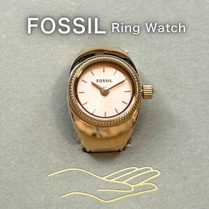 tHbV OEHb` wv uh fB[X [YS[h w֌^ Lk t[TCY RpNg ~j}   ANZT[ FOSSIL ޏ FB Mtg a L