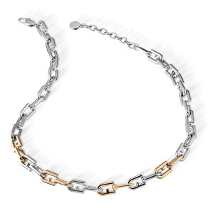 t lbNX fB[X t@bV `F[S Vo[ sNS[h XeX ANZT[ `F[lbNX  킢 l  f[g p[eB  L