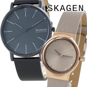 XJ[Q yAEHb` l SKAGEN rv Vv  kfUC Y fB[X yAZbg U[xg v v ubN O[ vw Jbv a LO Mtg SKW6902