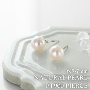 v`i sAX fB[X  p[ X^bhsAX Vv  킢  ANZT[ ޏ FB Mtg a LO    NX}X v[g LO 