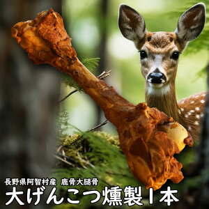 y2ڈȍ~܂tzyv1,800~őz|ƕ߂Apڍi񂱂jTCY1{ ̂܂ܕtĂ̂œėǂA