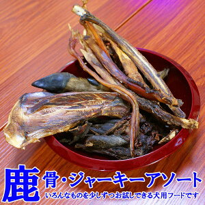 y2ڈȍ~ʁzpEEt[hA\[g3000@ȕʂsbNAbvɂsb^ȃA\[gZbg@쌧qY