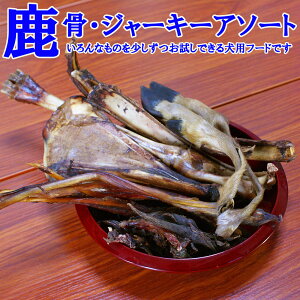 y2ڈȍ~ʁzpEEt[hA\[g5000@ȕʂsbNAbvɂsb^ȃA\[gZbg@쌧qY