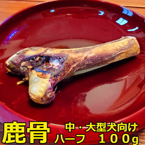 y2ڈȍ~ʁzyv1,800~őzɐ؂Ă₷In[t@쌧qY  jzWJ   񂹂 | 傫  ӂ XgX 