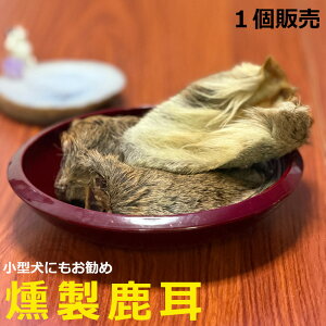 y2ڈȍ~ʁzyv2,600~őz傫Ȃ̃RRˁI񂱗p@쌧qY