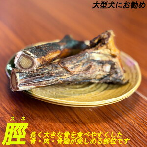 y^pzy2ڈȍ~܂tzyv2,600~őz2܂I[ӂĒA^т̓EEy߂둫