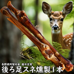 y2ڈȍ~܂tzyv1,800~őzȂ`30Z`I둫XlATCY1{@쌧qY