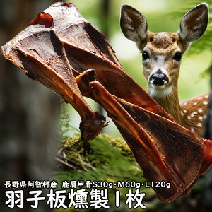 y2ڈȍ~܂tzyv1,800~őz͂SEMELTCY@̌bAׂ݂ɂςς肩镔ʂł@쌧qY