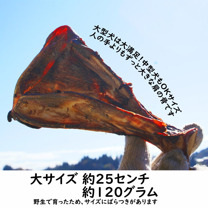 楽天市場】【2回目以降おまけ付き】【合計1,800円で送料無料】鹿はご 