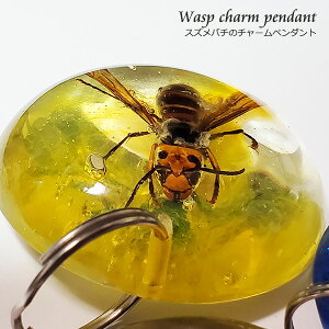 {̐~鑺E쌧qɂĕߊlAqxłFĨ`[y_g