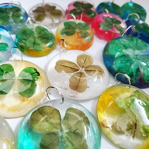 AEgbg ӂZbg  `[ y_g VcNT   R N[o[ lt ܂t L[z_[  Jri   F  q x