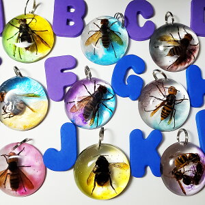 qXYo` W{ {  ۑ L[z_[ y_g lbNX F  q x ߊl Q I XYo` I N}o` n[g  ɐ ƒ뗲 q