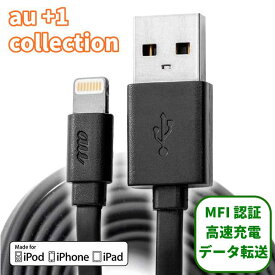 ライトニングケーブル Lightningケーブル ライトニング Lightning USB USBケーブル 純正 1M 1メートル 1本 iPhone iPhone充電器 アイフォン アイフォン充電器 スマホ スマホ充電器 黒 ブラック