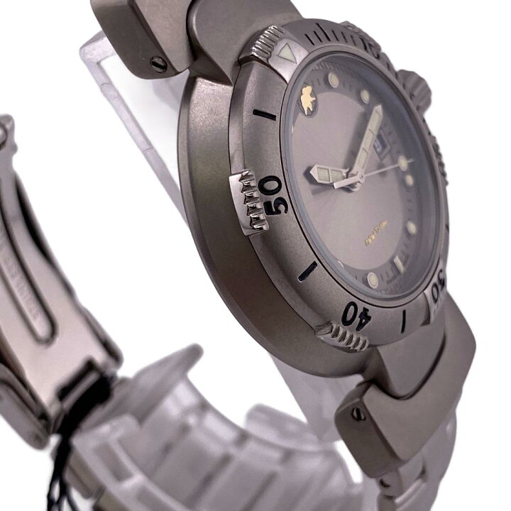 楽天市場】HUNTING WORLD/ハンティングワールド Safari Today 自動巻き  