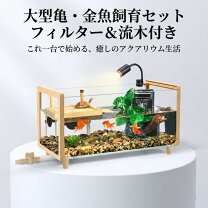 楽天市場】水槽セット ヒーター付き（ペット・ペットグッズ）の通販