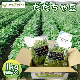 だだちゃ豆 1kg（500g×2袋） 山形県産 鮮度保持袋入り 採れたて発送 在来種 枝豆 ギフト 贈答 お取り寄せ