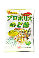 プロポリスキャンディー 熟成 ブラジル産 プロポリス あめ のど飴 はちみつのど飴 ユーカリ蜂蜜 プロポリ…