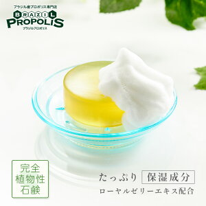 v|XΌ v|b`\[v 100g tFCXE{fB[p v|X ΂  v|Xϕi  Ό {fBΌ Ō` 点 ΂ v|X