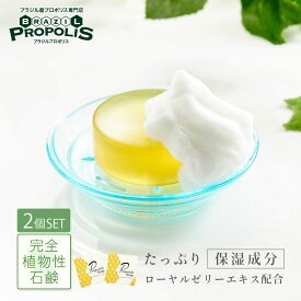プロポリス入り石鹸 2個セット プロポリッチソープ 100g フェイス ボディ両用 プロポリス 石けん せっけん 枠練り石鹸 洗顔 石鹸 固形 ボディ石鹸 洗顔せっけん 洗顔石けん プロポリス石鹸 はちみつ 固形洗顔石鹸 ハチミツ スキンケア ギフト プレゼント プロポリス洗顔