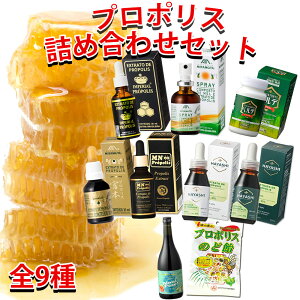 �y�~�̂����Ɂz�v���|���X�l�ߍ��킹�Z�b�g �u���W���v���|���X �T�v�� �t�� �C���y���A���v���|���X �x���f�J�v�Z�� �~�����g�X�v���[ �A�X�v���[ �v���|���X�S�[���h �уv���|���X MN�v