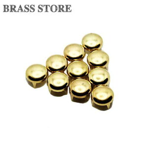 BRASS STORE uXXgA / 10Zbg ^J X^bYiEhj/ 10mm ی^ e h[ C_[XWPbg uX xg eW U[Ntg p[c S[h
