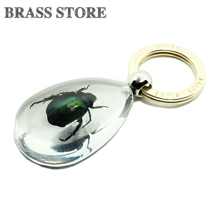 楽天市場】BRASS STORE ブラスストア / 樹脂 キーホルダー（コガネムシ 
