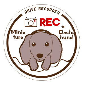 yXebJ[z hR XebJ[ hCuR[_[  Vv 킢 REC ^撆 h ~j`AViEU[ Č gCv[h R[M[ ~j`A_bNXth h