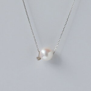 lbNX p[ _C v`i fB[X AR^ 6.5-7mm PT850 ꗱ JWA Vv  w Mtg v[g Ǝ w ig   l j 20