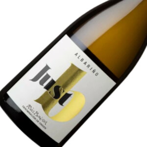 WXgEr[ / WXgEr[ECY [2020] C XyC