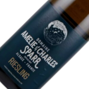 [XO TeB} / A[ G V Xp[ [2022] C tX