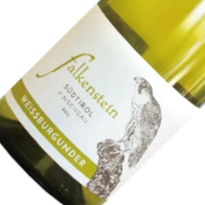 �s�m�E�r�A���R / �t�@���P���V���^�C�� [2022] �����C�� �C�^���A