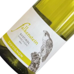 �\�[���B�j���� / �t�@���P���V���^�C�� [2023] �����C�� �C�^���A